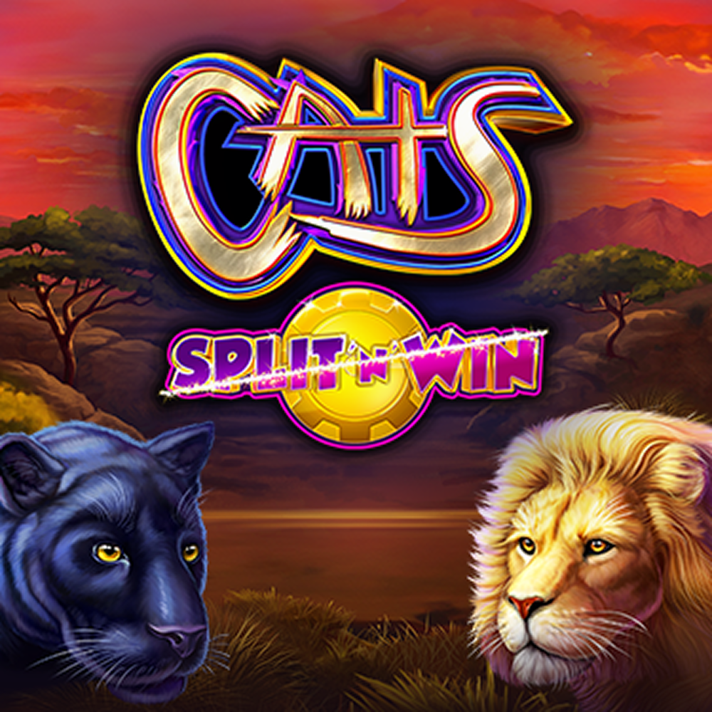 Cats Split 'N' Win