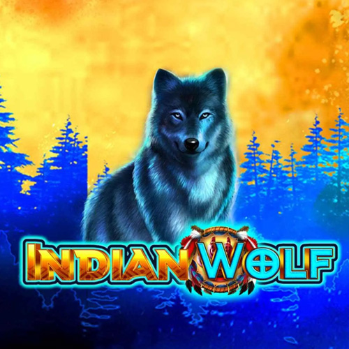 INDIAN WOLF