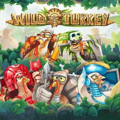 Wild Turkey